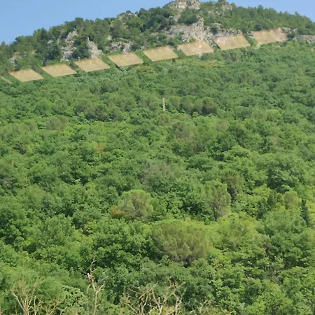 3 Bed - Sleeps 6 - Mountain View - Parking - Pets *